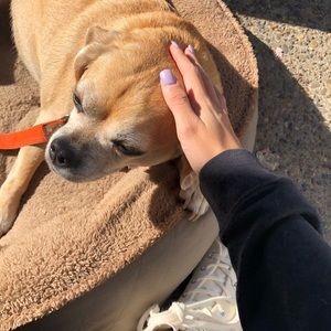 Meet your Posher, Emma